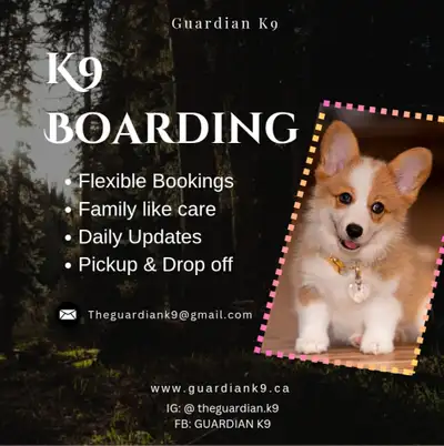 Pet Boarding+daycare, View more