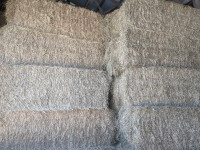 Hay for sale