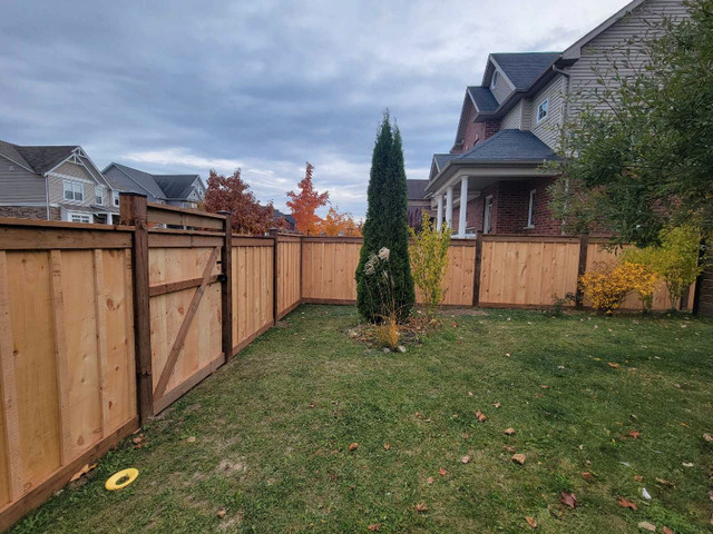 New Fence/Gate/Deck, Repairs, and/or more! in Decks & Fences in Kitchener / Waterloo - Image 3