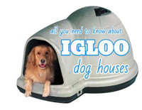 Petmate® Indigo Igloo-Style Dog House