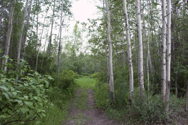 Lakeview land for sale in Fort St James 9.2 acres in Land for Sale in Vanderhoof - Image 4