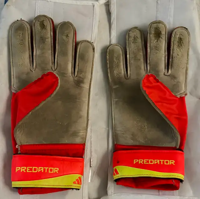 Set GK vice day edition elite pro level glove used in Hockey in Oakville / Halton Region - Image 5