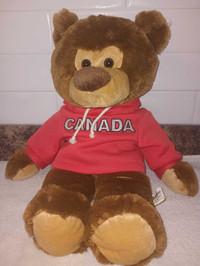 Cute Teddy Bear in Canada Hoodie 