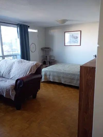 Studio Apt - Steeles / Kennedy, View more