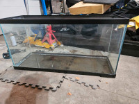 30 gallon tank with stand