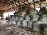 Hay for sale  Rounds 2022-3  no rain  barn stored
