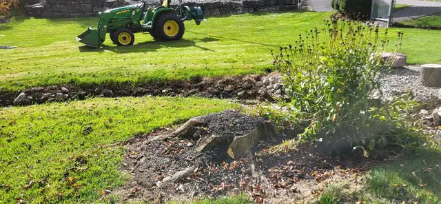 Tree Services64840195713410121