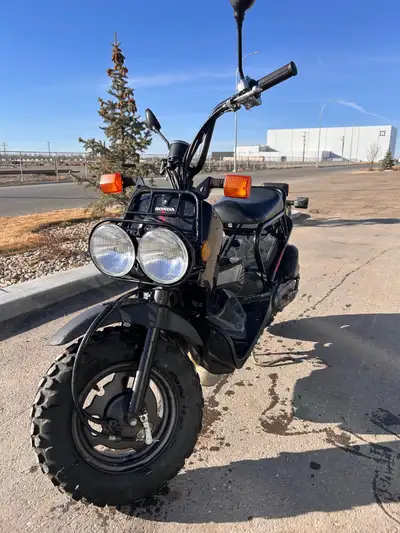 Owned and ridden for 2 years. Selling because I got my licence, good for teens wanting to get around...