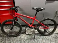 Nakamura Renegade 20” Bicycle