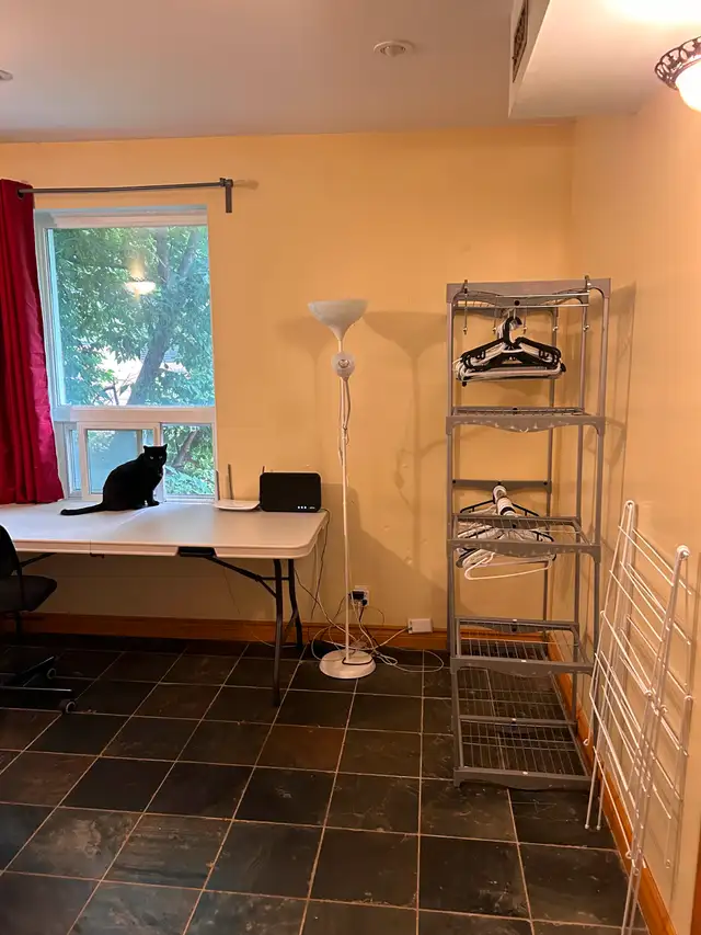 Downtown Toronto looking for roommate63417637690883123