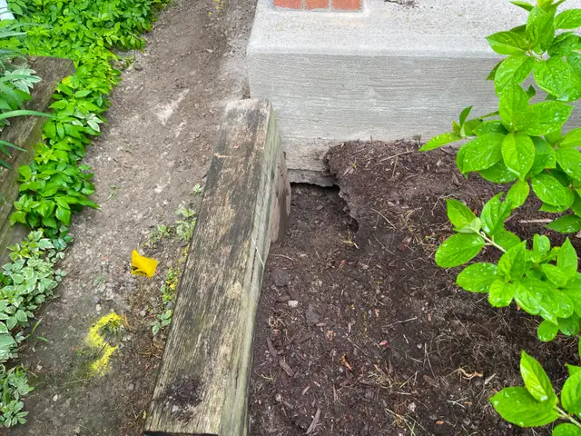 AAA Affordable Wildlife Control in Mississauga in Other in Mississauga / Peel Region - Image 11