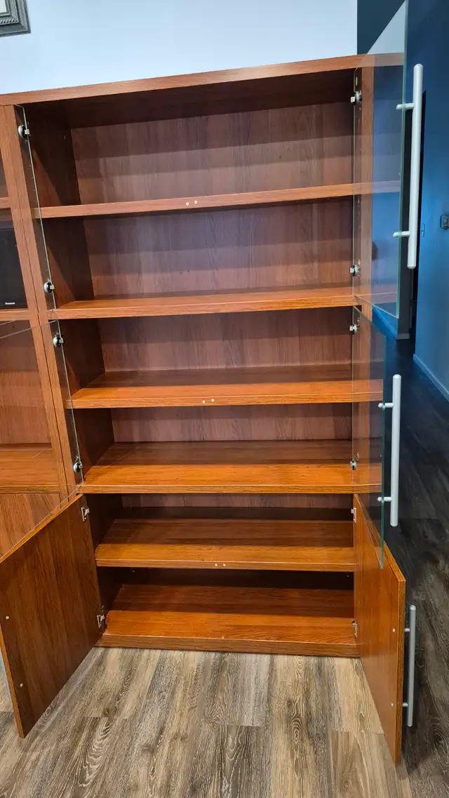 Living Room Shelving Unit $300 obo in Bookcases & Shelving Units in Lethbridge - Image 3
