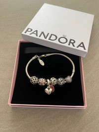 Women’s Pandora Bracelet, Charms Lot, New