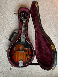 electric mandolin 