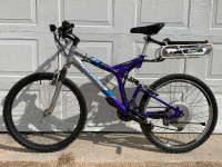 Bionx e-bike kit