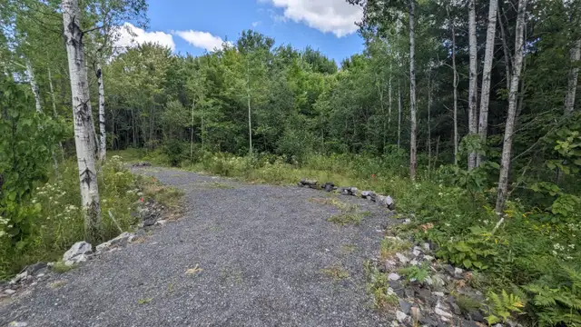 ️ Escape to Nature at Tait’s Island Retreat — Convenient, Priv in Activities & Groups in Muskoka - Image 6