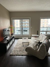 Roommate wanted May 1st - Downtown