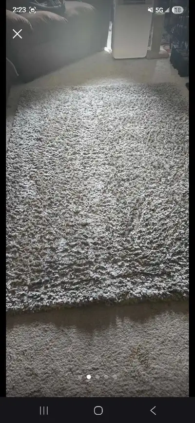 CAM Living Brooklyn Shag Rug, View more
