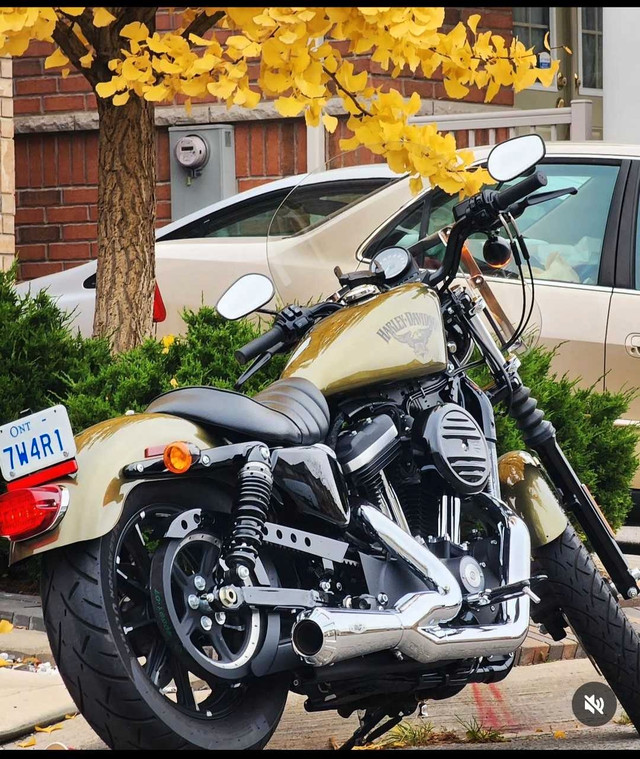 Harley davidson sportster Iron 883 in Street, Cruisers & Choppers in Mississauga / Peel Region - Image 2
