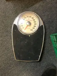 Healthometer scale