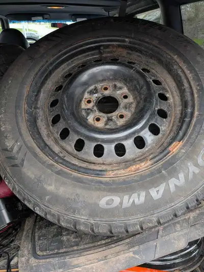Like new Dynamo 17in winter tires on rims 225/65 R17 Plus an extra set of 4 rims for the tires!! 350...