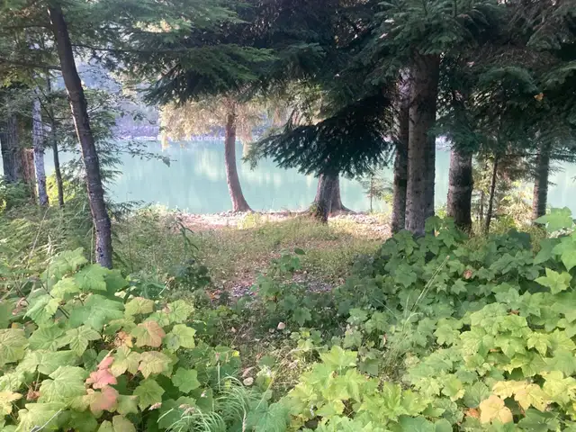 Home on Acreage And River Front in Houses for Sale in Terrace - Image 7