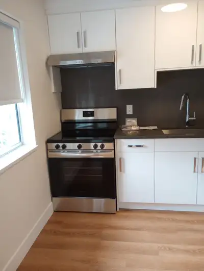 "New Fully Renovated 1 Bdrm apartment for rent. Building was built in the 1990's. Rent is $1,425 / m...
