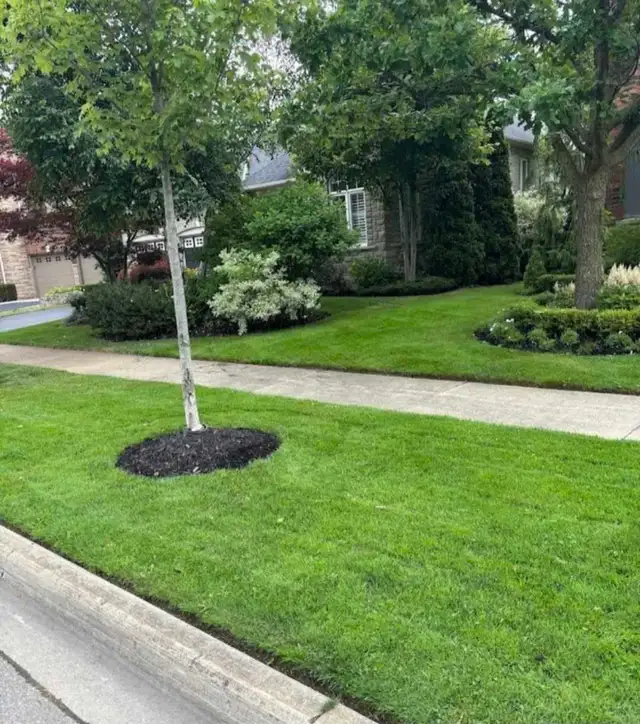 Toronto & GTA Landscaping | Lawn Care, Garden Services in Lawn, Tree Maintenance & Eavestrough in City of Toronto - Image 5