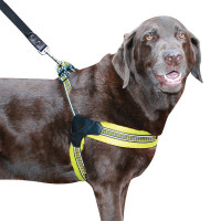 Sporn Easy Fit Dog Harness
