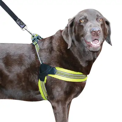 Sporn Easy Fit Dog Harness, View more