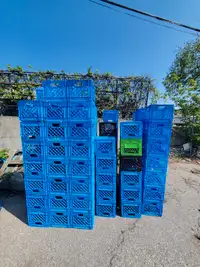 Urgent used Milk Crate for sale, 110 pieces ,  5$ for each one 