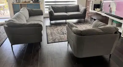 In good used condition New price was $ 1700 including tax Except for a zipper on the sofa, nothing i...