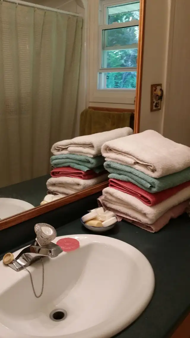 Room for Rent in Prince Edward County in Room Rentals & Roommates in Belleville - Image 3