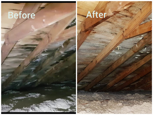 ATTIC MOLD REMOVAL , CERTIFIED FROM $500, (647-451-0493) in Other in City of Toronto - Image 2