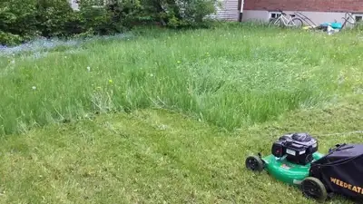 Lawn care service , View more