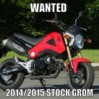Wanted: Stock 2014/2015 Honda Grom 