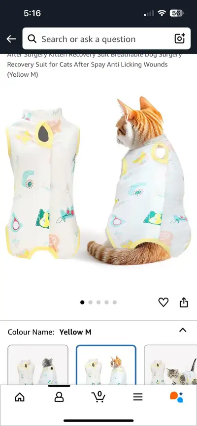 Post Surgery Suits for Cats, View more
