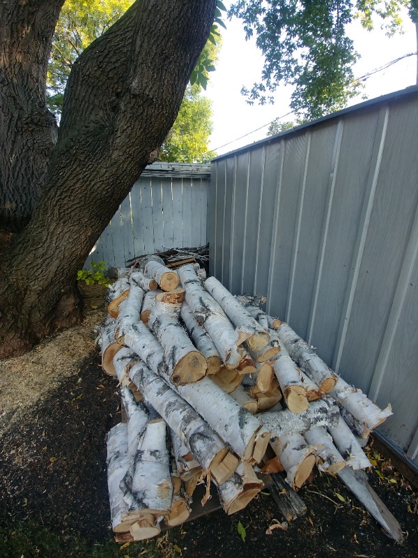 Firewood (birch) for sale. Other Winnipeg Kijiji