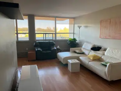 1bd condo for rent