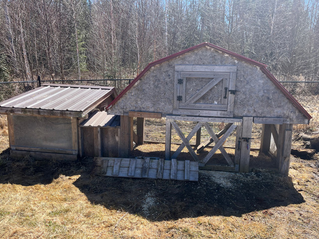 Chicken Coop or bunny house in Equestrian & Livestock Accessories in North Bay