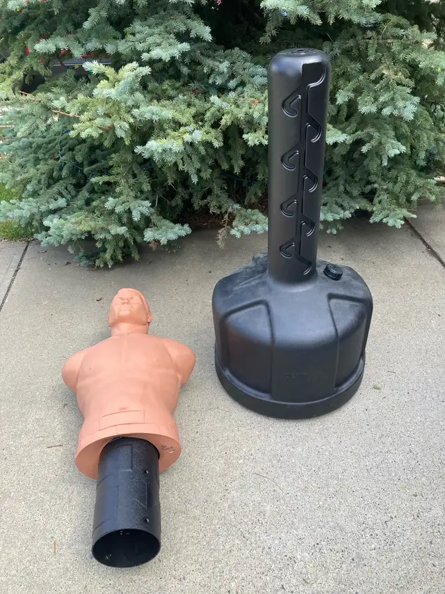 Century BOB in Exercise Equipment in Calgary - Image 3