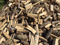 Dry poplar firewood