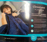 Beauty Rest Weighted Blanket 15 lbs 