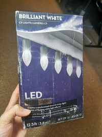 Brilliant White C9 Christmas Lights