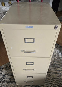 Filing Cabinet (3 drawer)