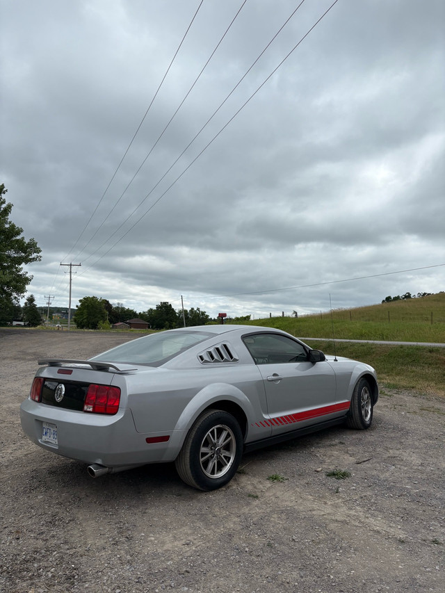 2005 Ford Mustang V6 in Cars & Trucks in Peterborough - Image 2