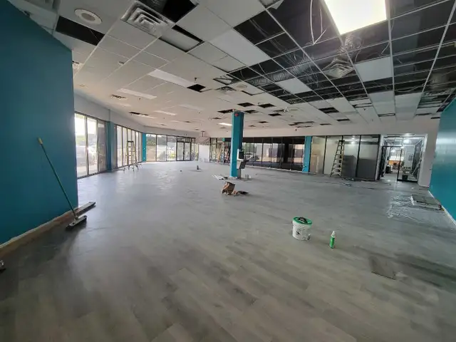 Handyman/Painter/Contractor64988204532483125