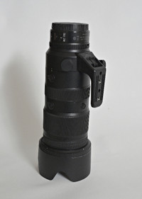 Nikon Z  70-200  2.8 Lens