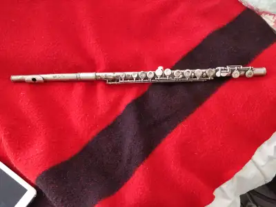 *I have little knowledge of flutes. The flute is tarnished, and it has a patina. It does work, but i...