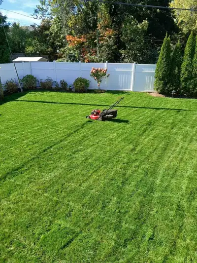 I am a student with my partner that needs extra money if you guys can help me find some lawns to mow...